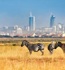 What Business Travelers Should Know Before Visiting Nairobi
