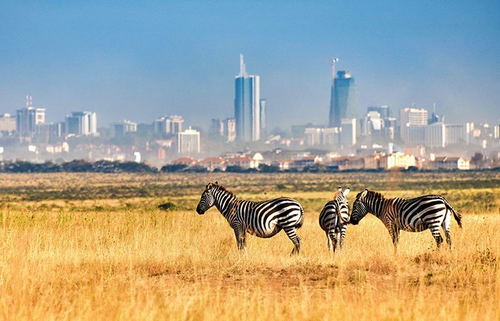 nairobi National park - Alya